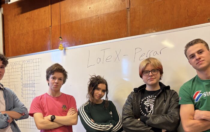 Lidakeppni efra stig