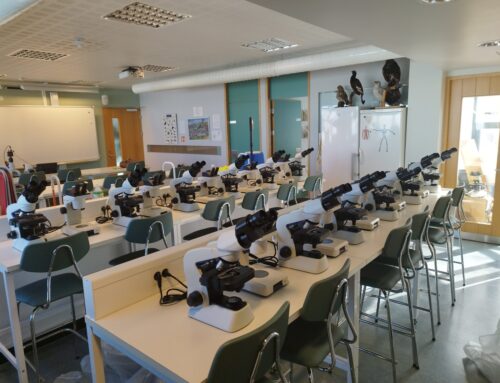 Styrkur frá Menningar- og framfarasjóði Ludvig Storr